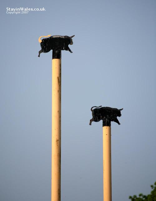 Rugby posts