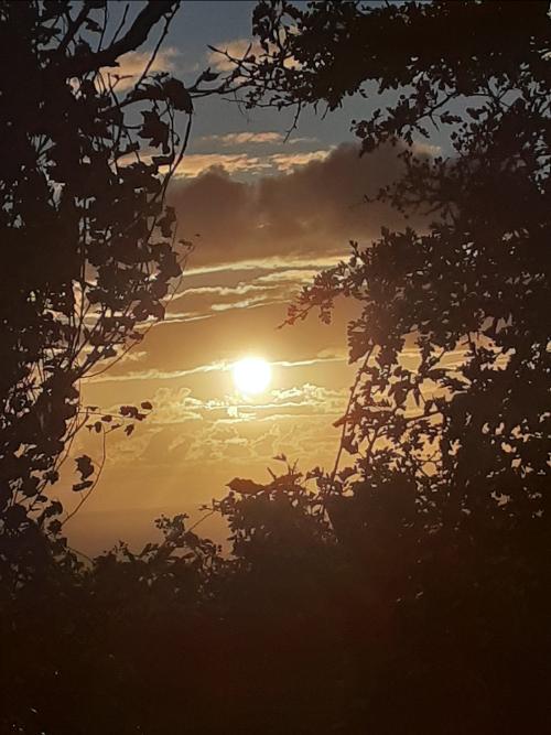Sunset at Trerhys