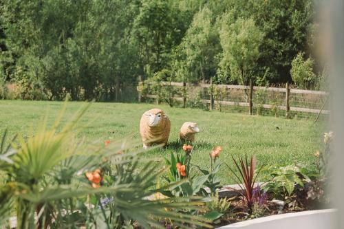 The gardens