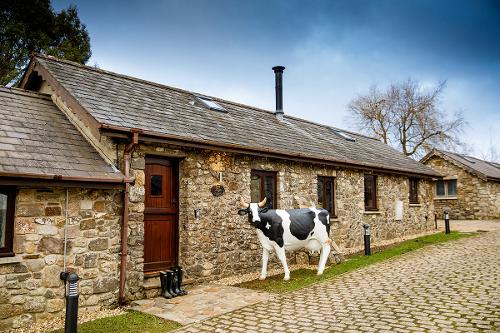 The Dairy